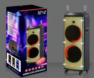 Low-Price-Flame-Speaker