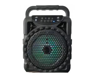 portable-subwoofer-speaker