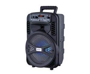 low-price-speaker