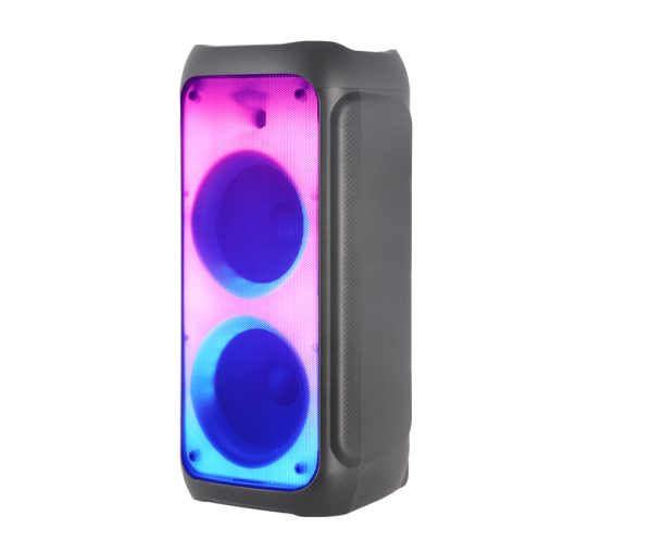 -Purchase-Acoustic-Speaker.