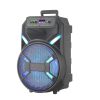 Outdoor-Speaker