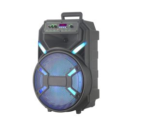 Outdoor-Speaker