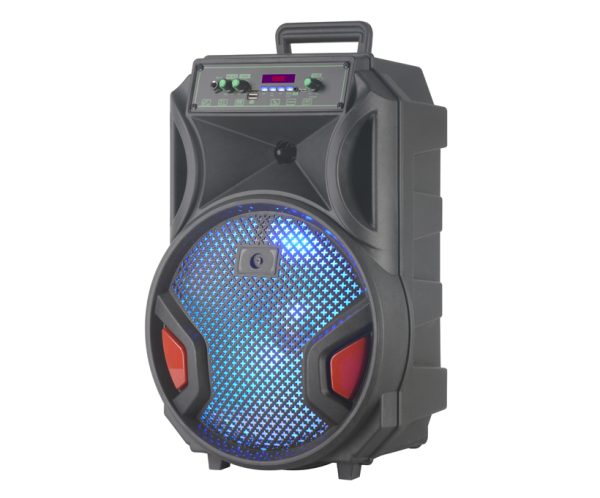 Subwoofer-Speaker